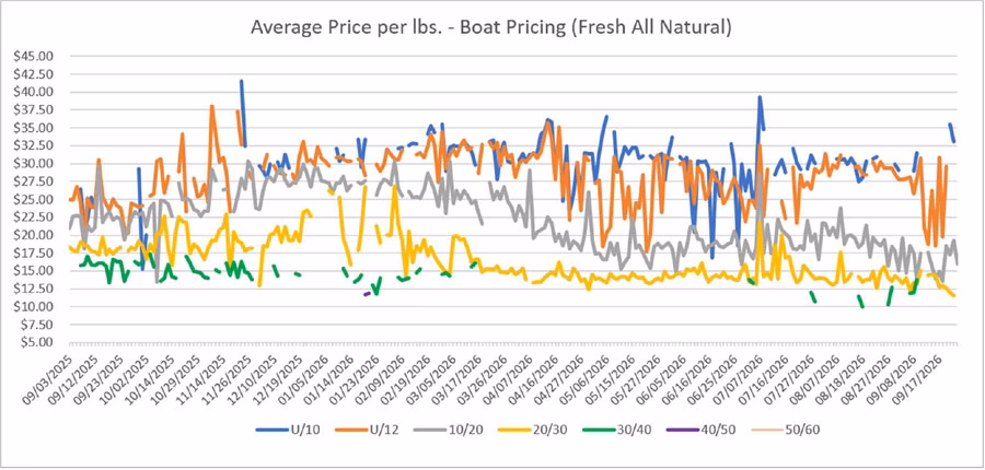 Original line chart comparing fresh boat-level scallop prices per pound across size categories from September 2025 through September 2026, before freezing, packaging, shipping, and processing charges.
